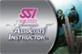 Associate Instructor